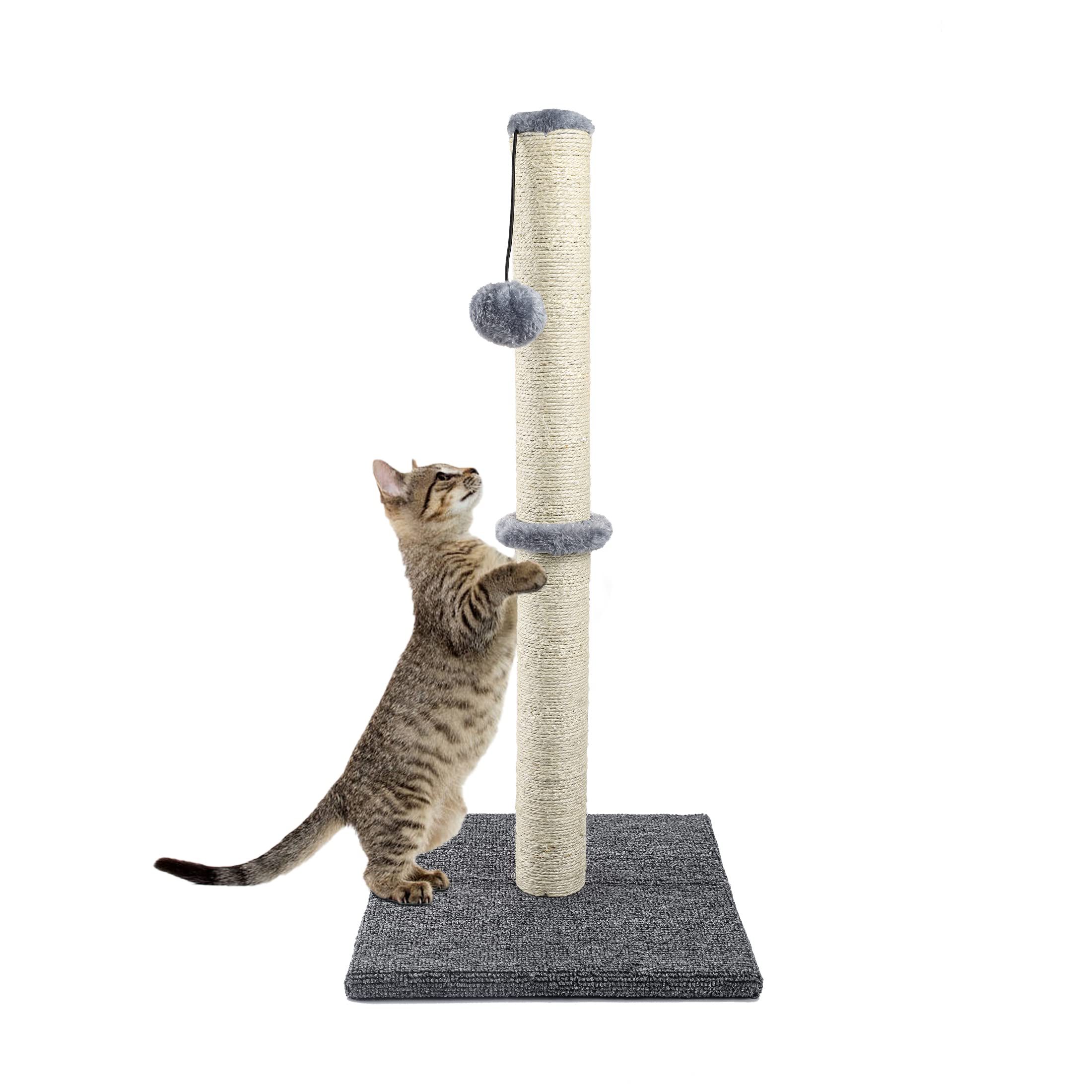 Must-Have Cat Scratching Posts