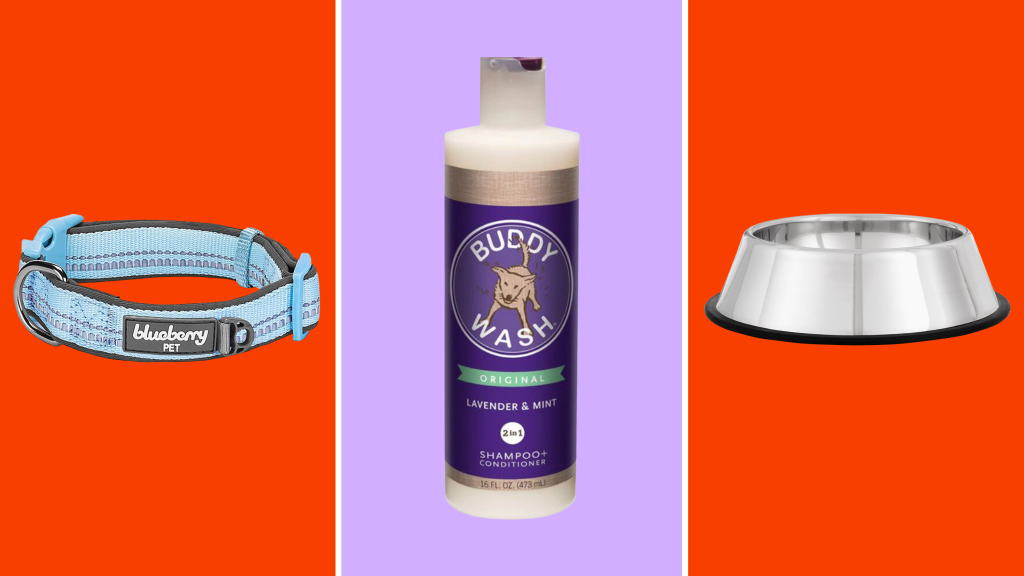 Must-Have Pet Care Products