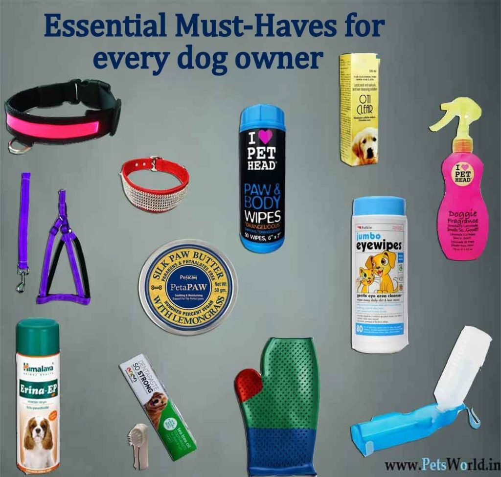 Must-Have Pet Care Products