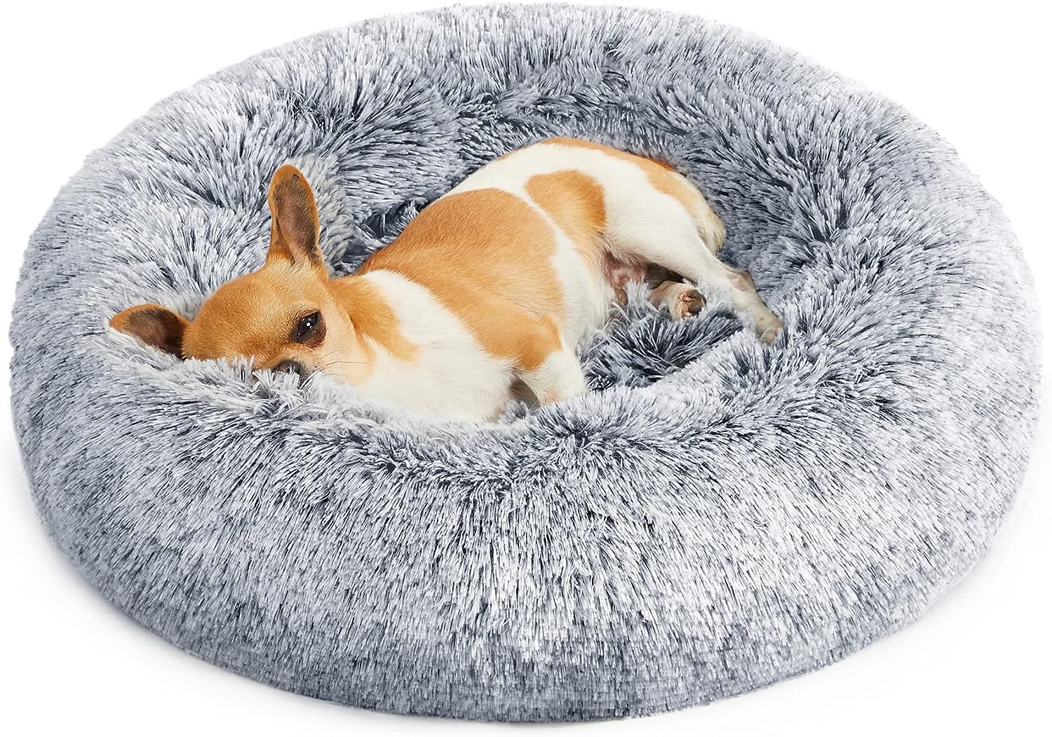 Reviewing and Comparing 5 Top Pet Beds for Dogs and Cats