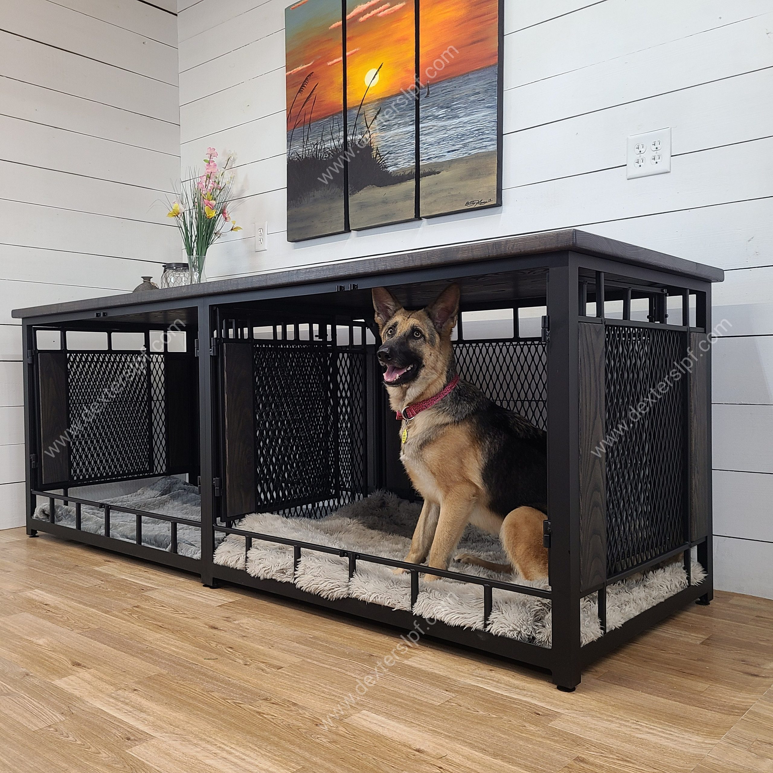 Should You Keep a Dog Crate in Your Bedroom at Night?