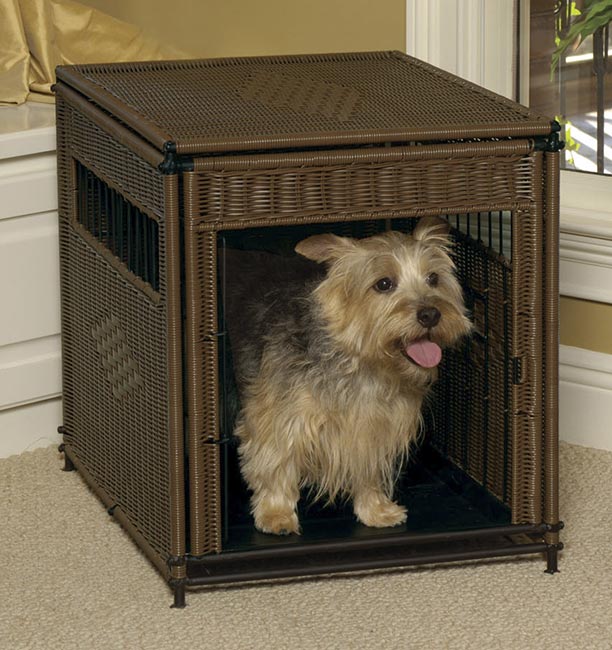 Should You Keep a Dog Crate in Your Bedroom at Night?