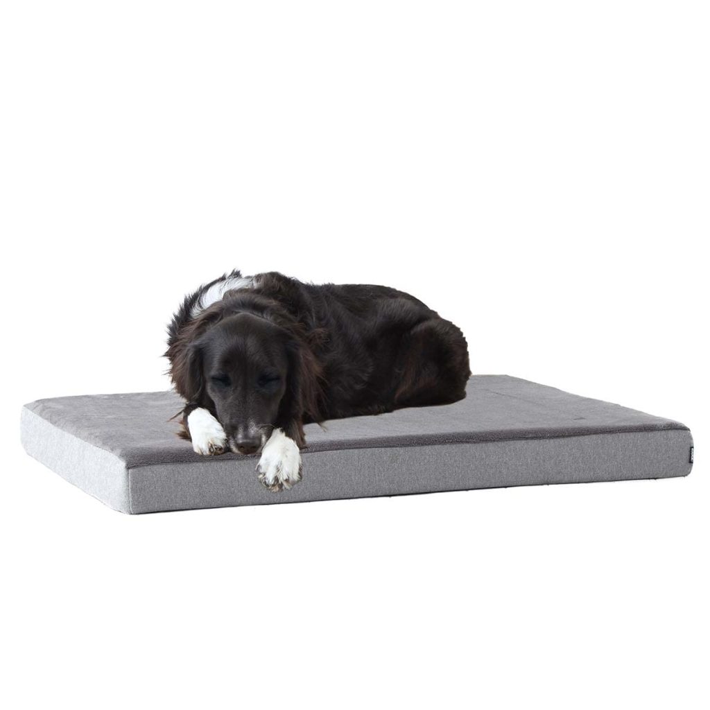 The Comfort of Memory Foam Beds for Dogs