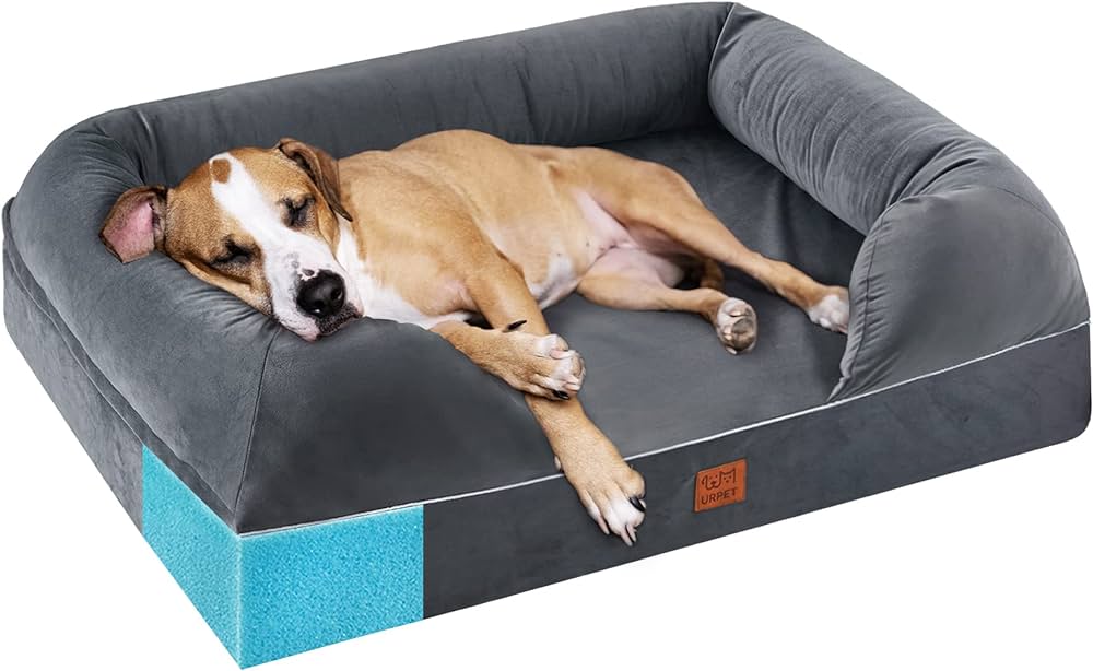 The Comfort of Memory Foam Beds for Dogs