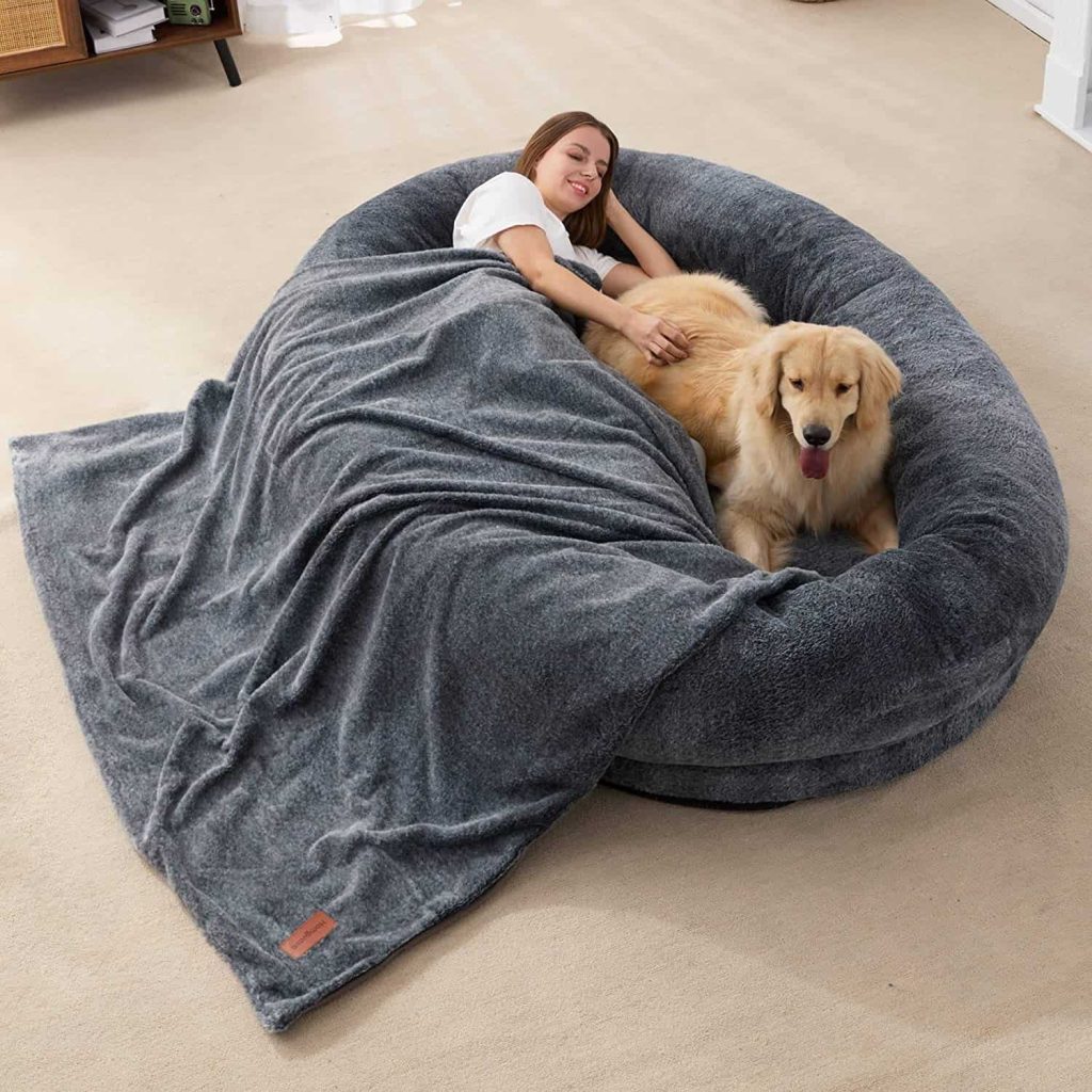The Fascination of Dogs with Human Beds