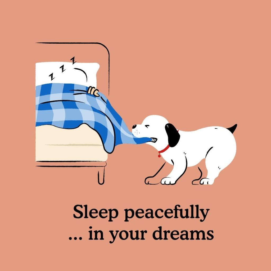 The importance of setting a bedtime for dogs