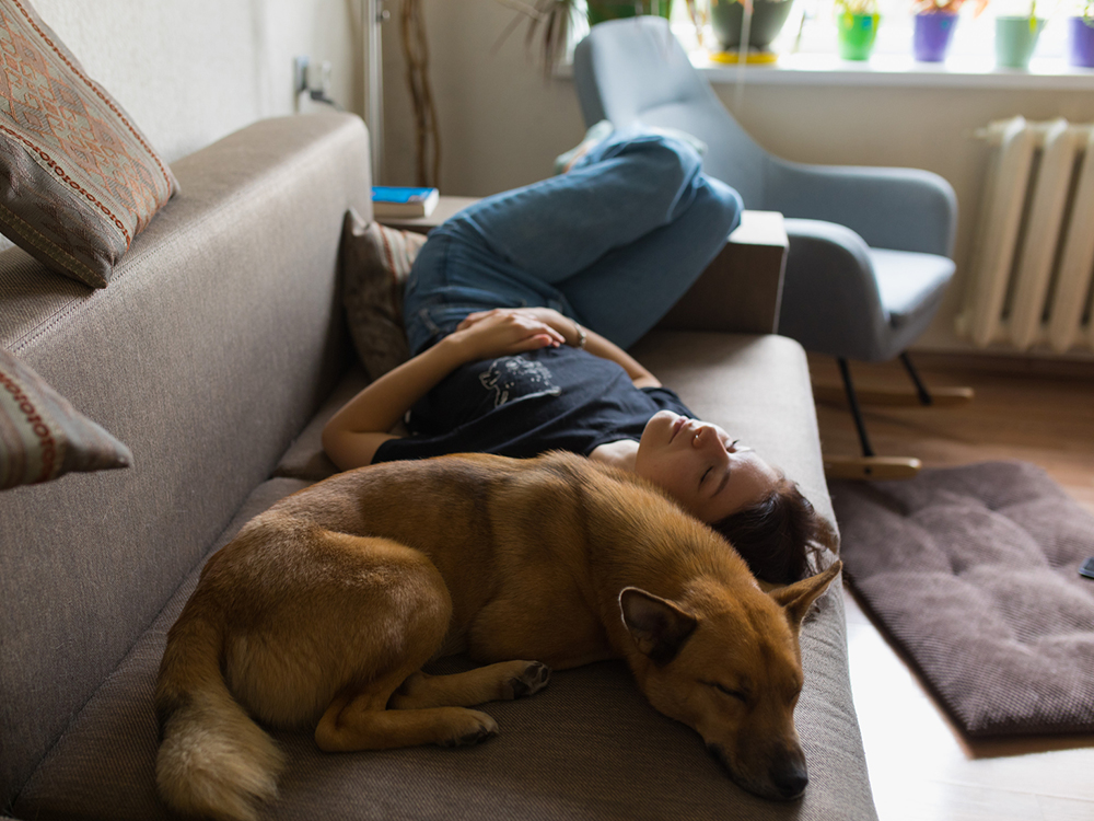 The Relationship Between Dogs and Sleep