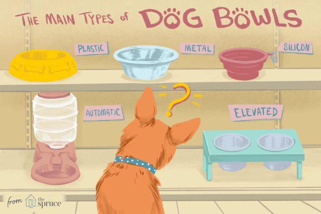 The Top Dog Bowls for Ultimate Pet Care