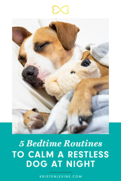 Tips for Communicating Bedtime to Your Dog