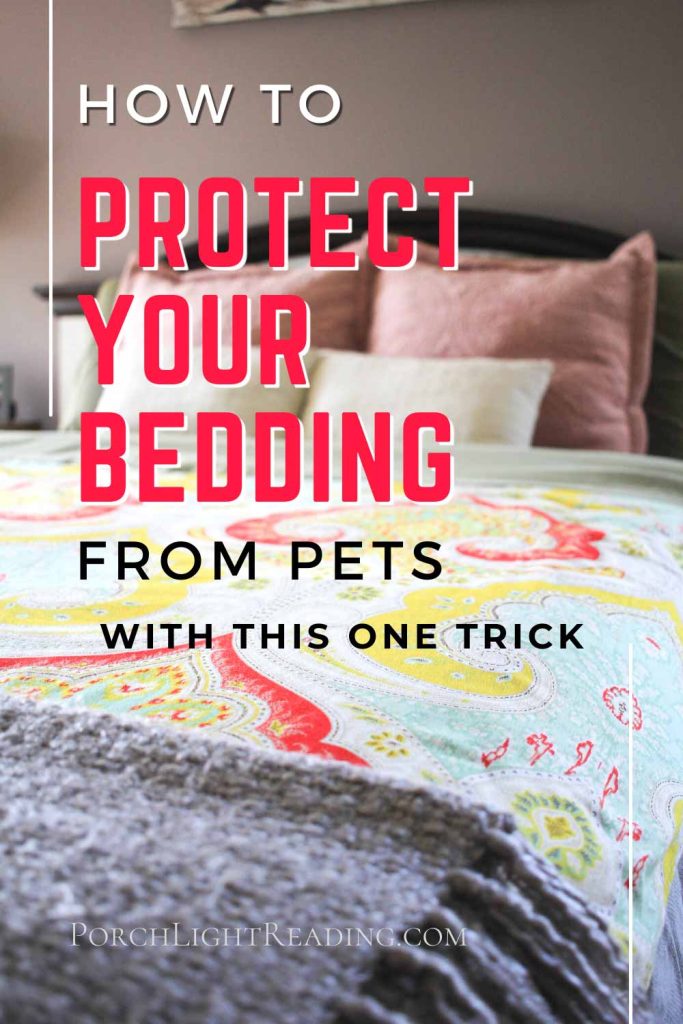 Tips for Keeping Your Bedding Clean When Sleeping with Your Dog