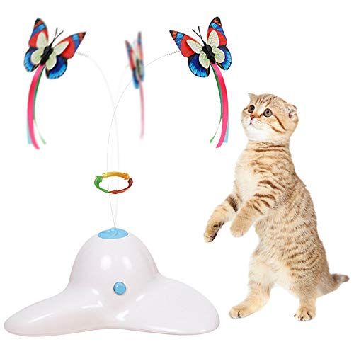 Top 10 Kitten Toys for Happy and Active Cats