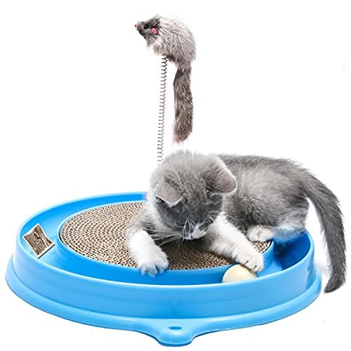 Top 10 Kitten Toys for Happy and Active Cats