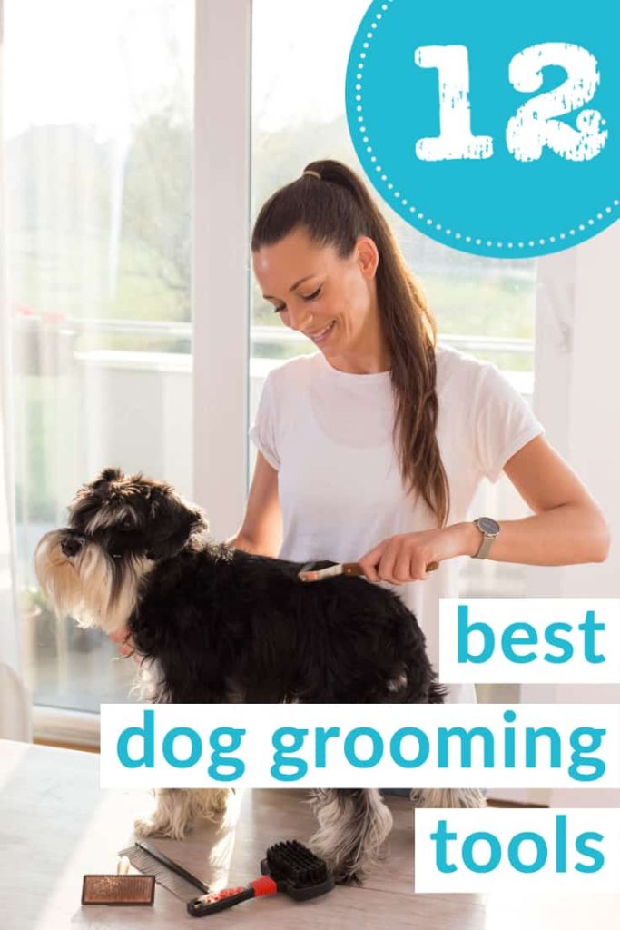 Top Grooming Supplies for Pets