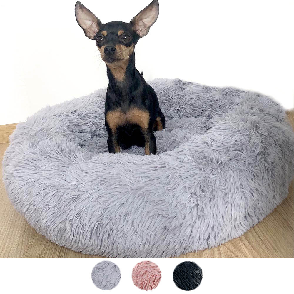 Top Picks for Best Dog Beds