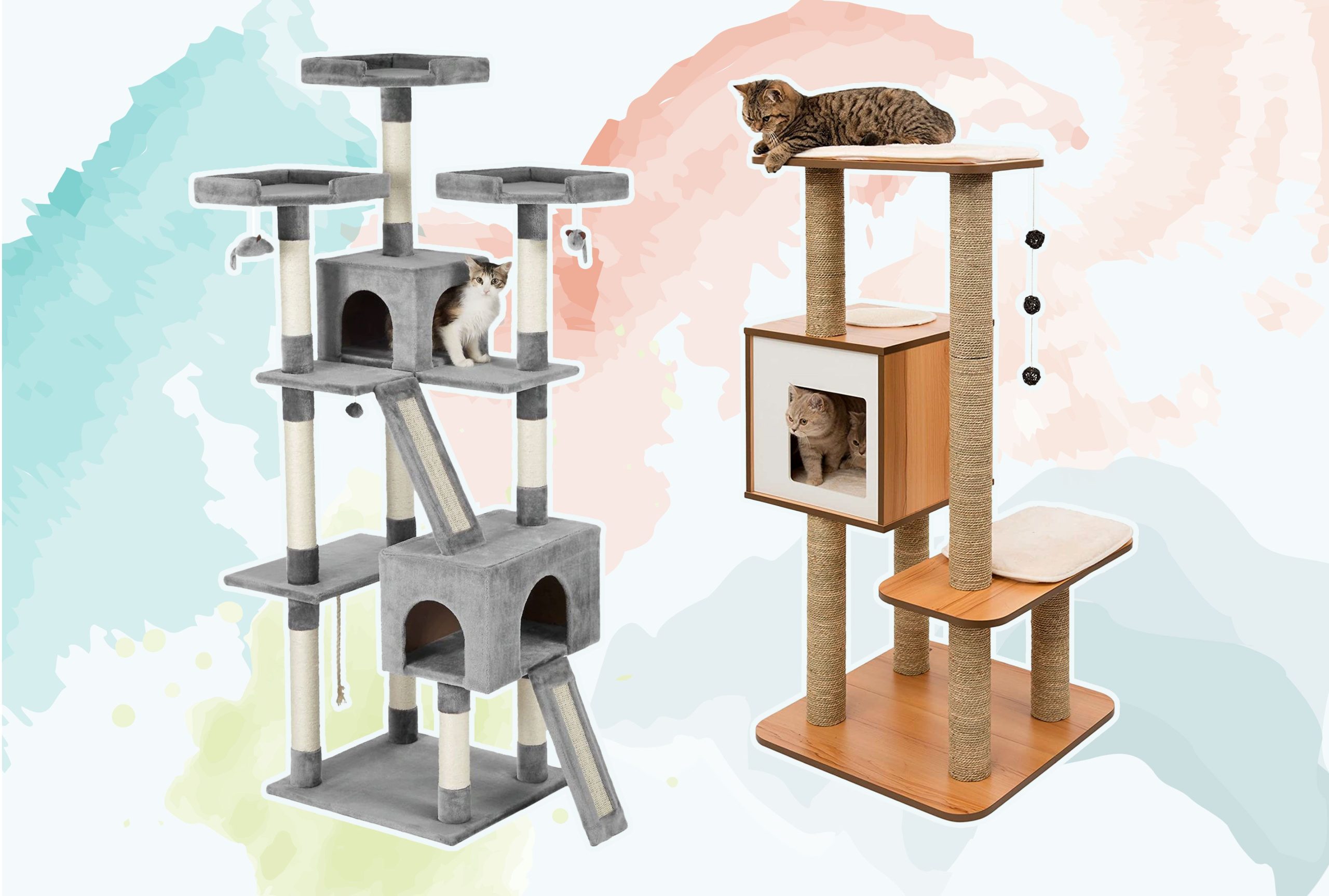 Top Rated Cat Trees