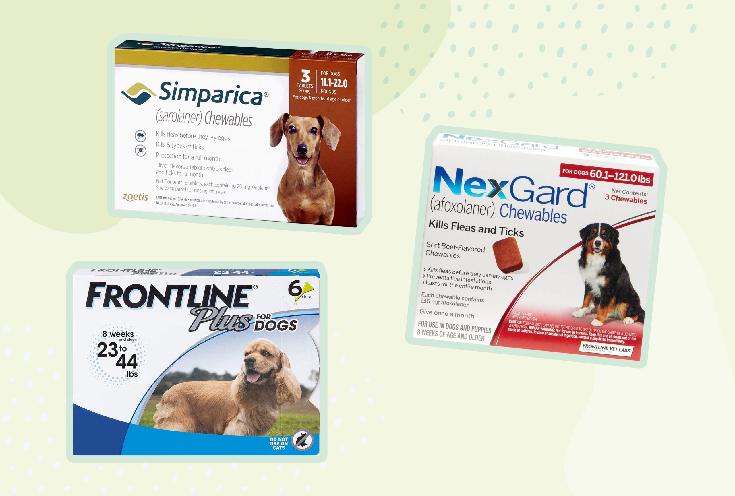 Top-rated Flea and Tick Control Products for Your Pet