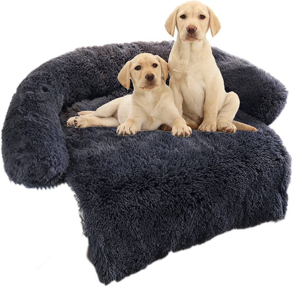 Why Dogs Love Covered Beds Why Dogs Love Covered Beds