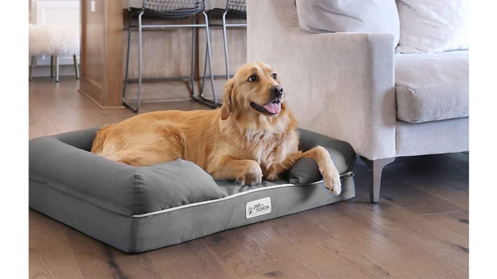 Why Dogs Love Covered Beds Why Dogs Love Covered Beds