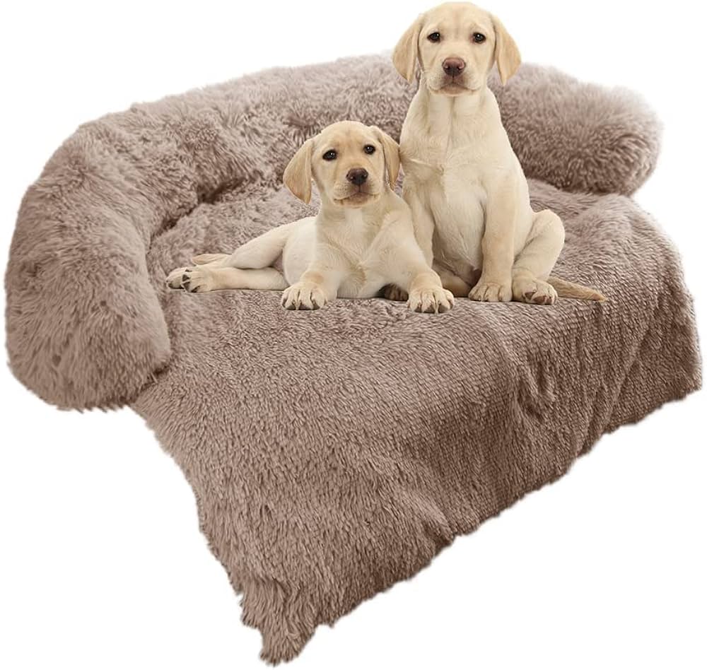 Why Dogs Love Covered Beds Why Dogs Love Covered Beds