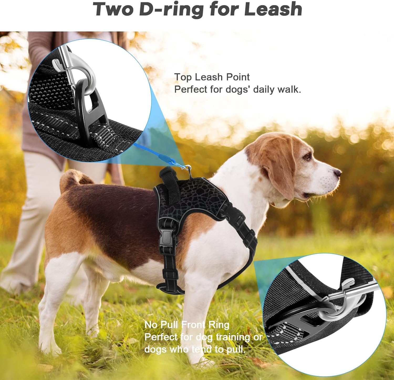 Comparing Reflective Dog Harnesses: Features, Comfort, and Control