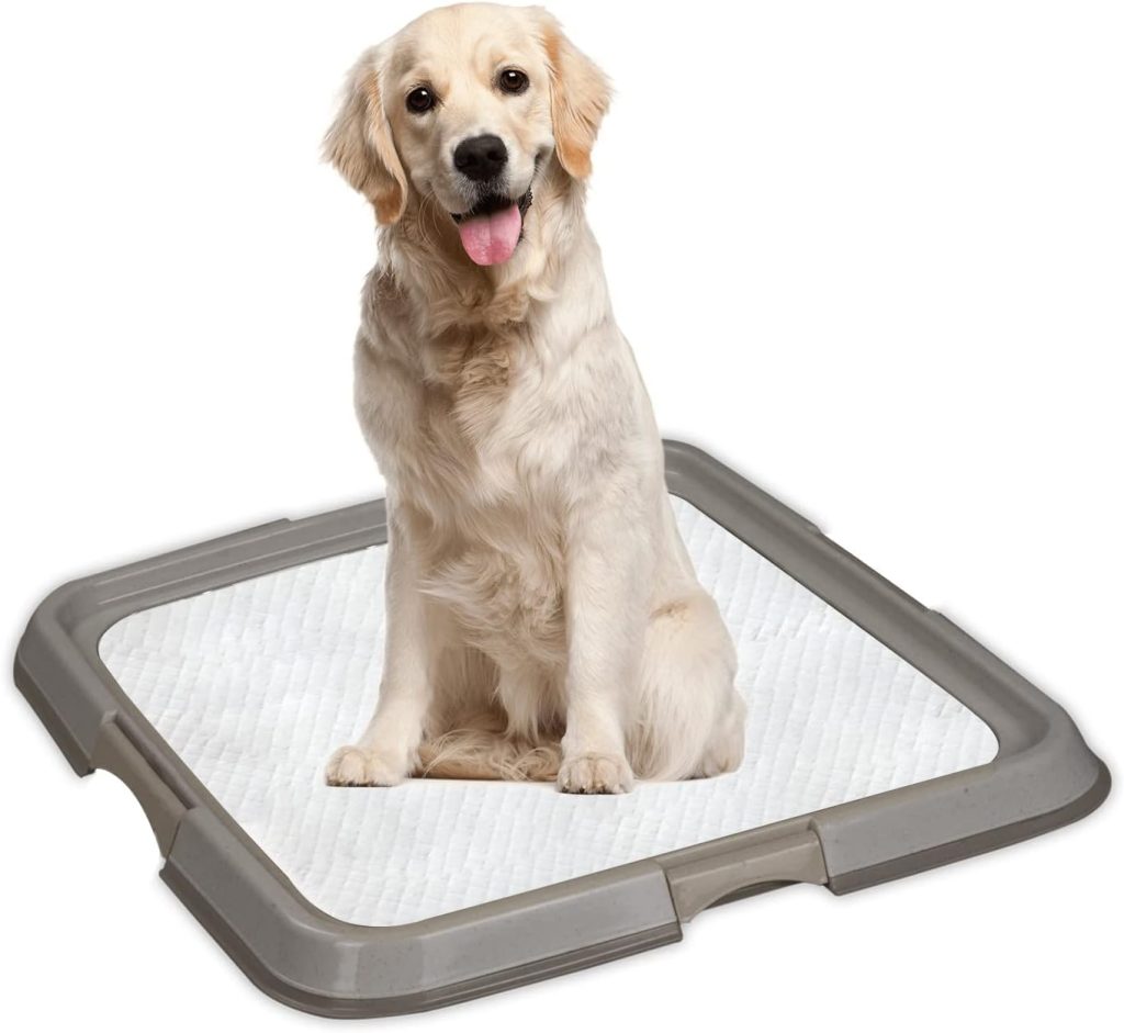 PAWISE Dog Toilet Tray Pet Pee Pad Holder, Dog Potty Tray Portable Puppy Training Pad Tray,Indoor Dog Litter Tray for Dogs/Cats,60 * 60 cm