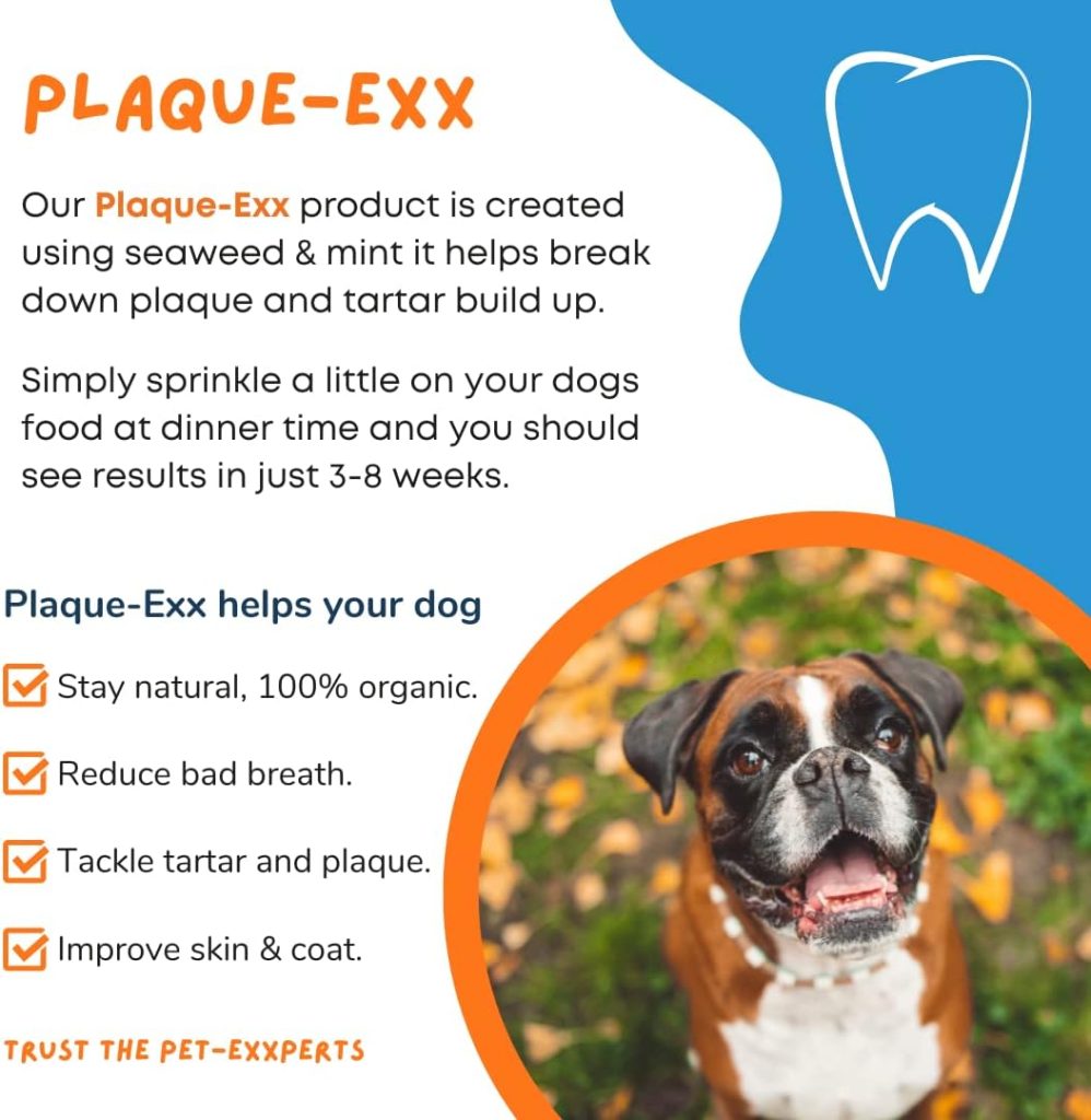 PlaqueExx dental care plaque remover for dogs and cats - take plaque off your pets teeth PLUS no more bad breath - freshen up with plaque removal  the added mint (400g)