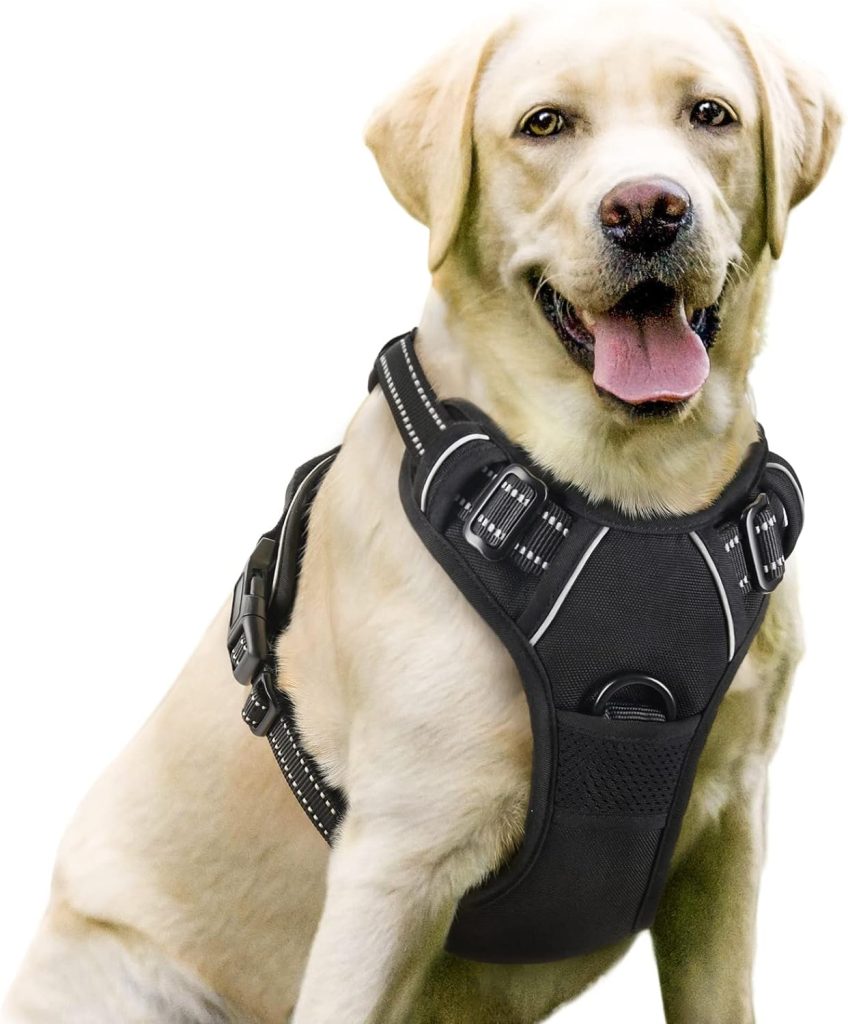 rabbitgoo Dog Harness Large Dog No Pull Pet Harness with 2 Leash Clips, Adjustable Soft Padded Pet Vest Harness, Reflective No-Choke with Easy Control Handle for Training or Walking, Black, L