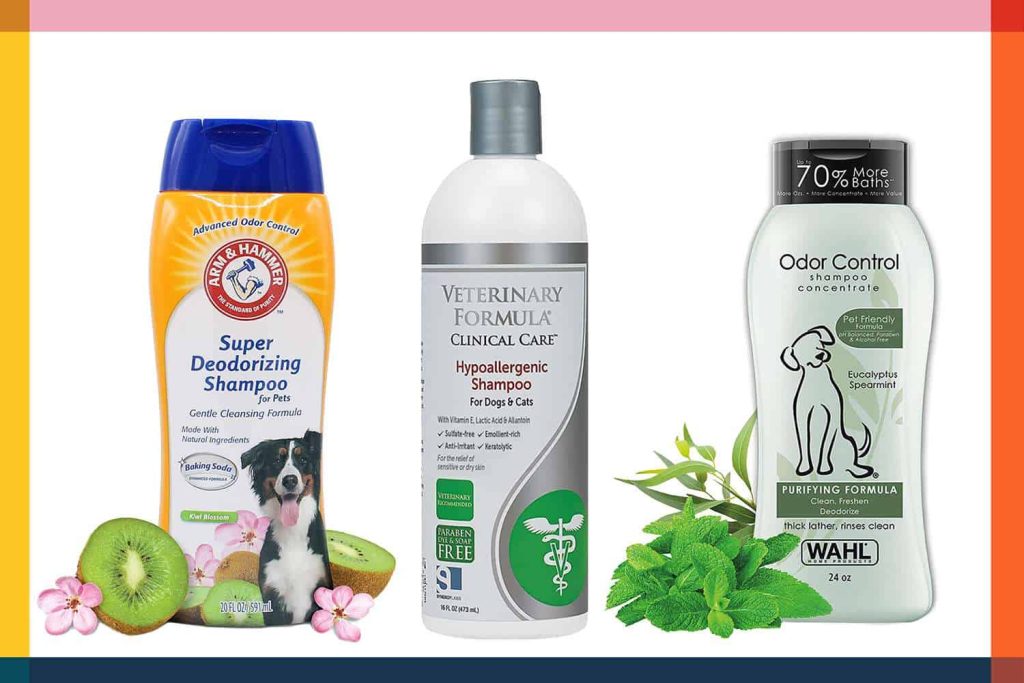 The Best Shampoo and Conditioner for Pets