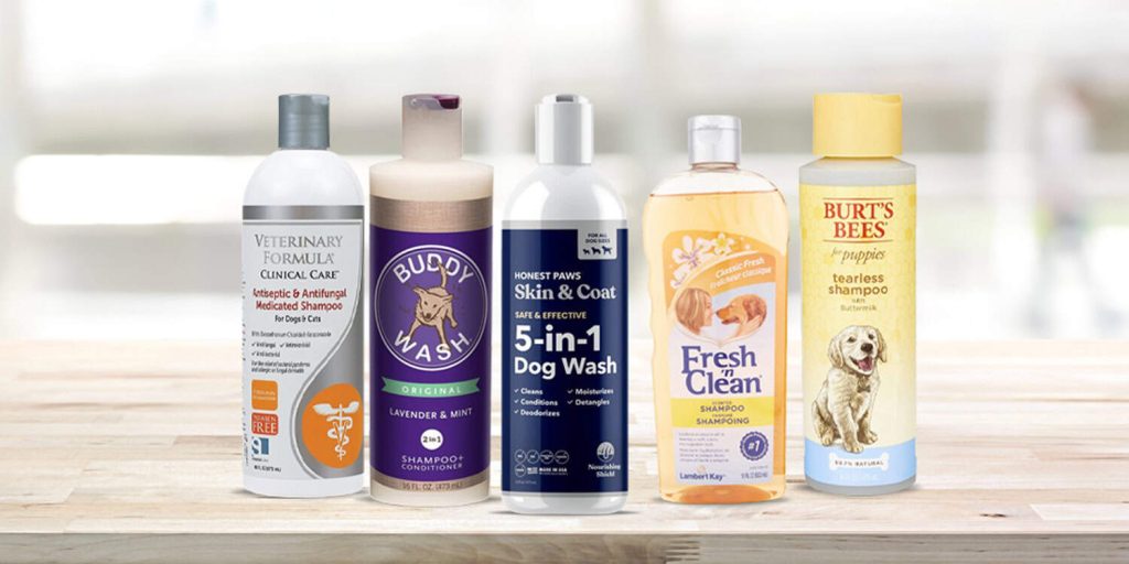 The Best Shampoo and Conditioner for Pets