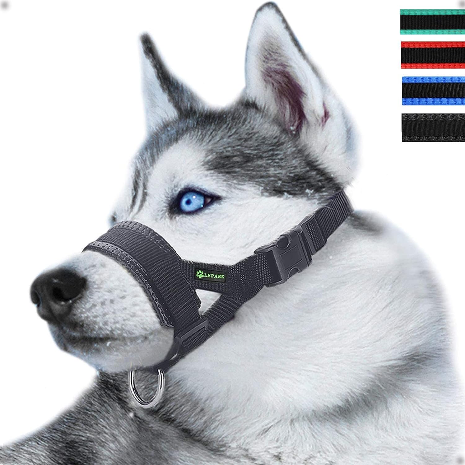 Comparing 4 Dog Muzzles: Beikalone, Nylon Soft, Silicone Basket, JYHY