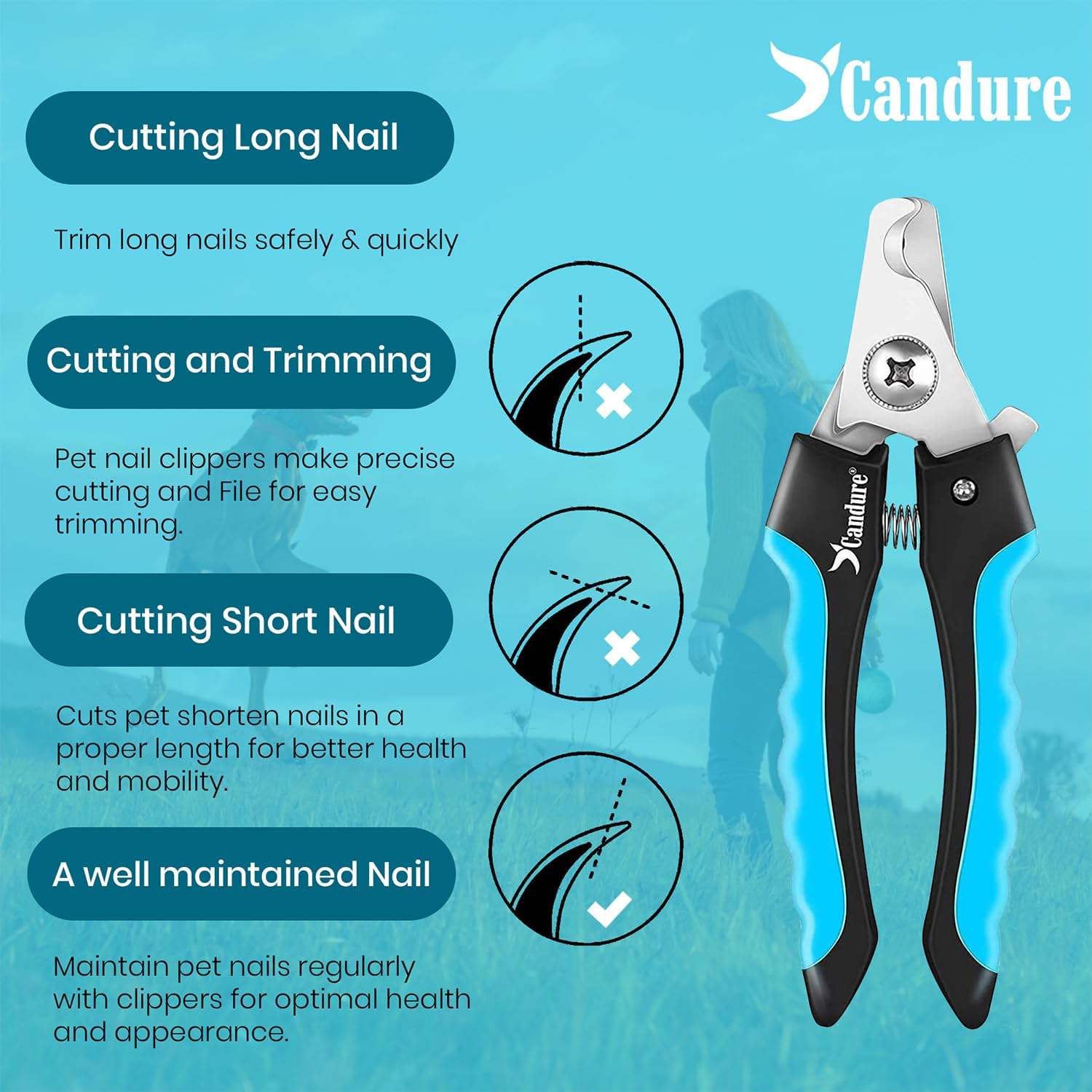 Comparing Dog Nail Clippers: Candure, gonicc, Thunderpaws, Dog Nail Grinder, TopE