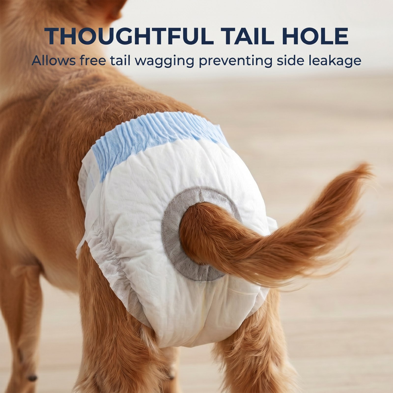 Disposable Dog Diapers Female Incontinence or Excitable Urination and Training 48 Count, XS, 15-33 cm