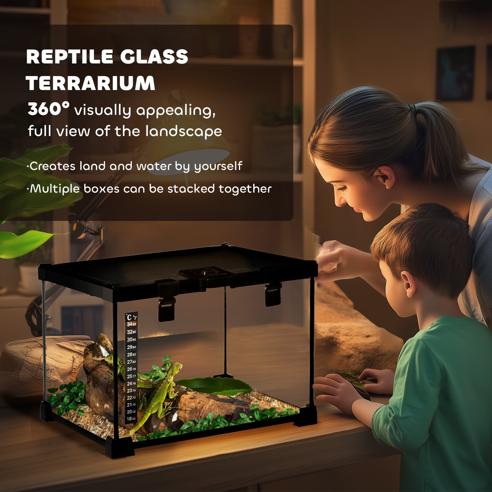 Glass Reptile Terrarium Insect Breeding Tank Vivarium Habitats with Thermometer for Lizards, Horned Frogs, Snakes, Spiders - Small 30 x 30 x 20cm - Image 4