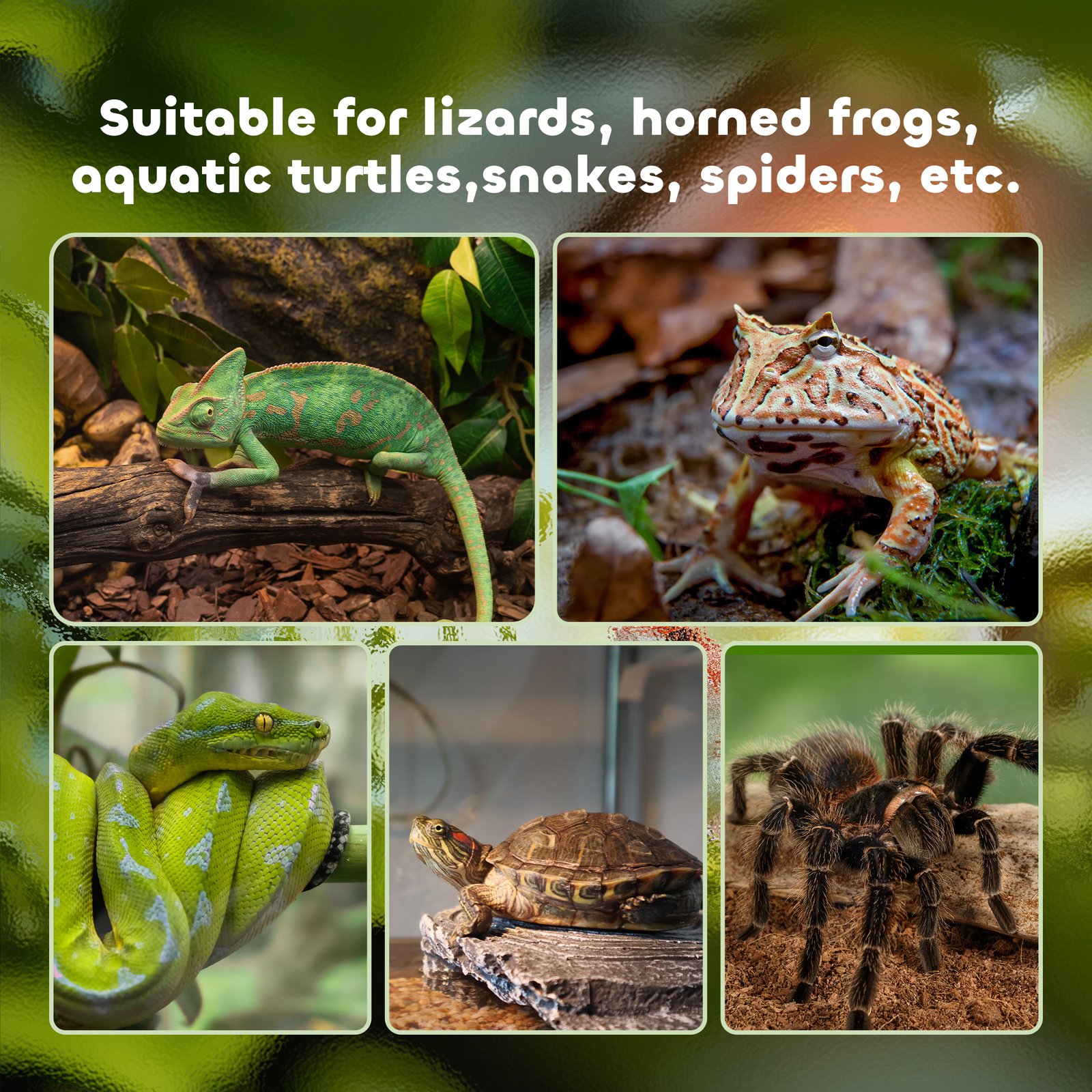 Glass Reptile Terrarium Insect Breeding Tank Vivarium Habitats with Thermometer for Lizards, Horned Frogs, Snakes, Spiders - Medium 50 x 30 x 25cm - Image 7