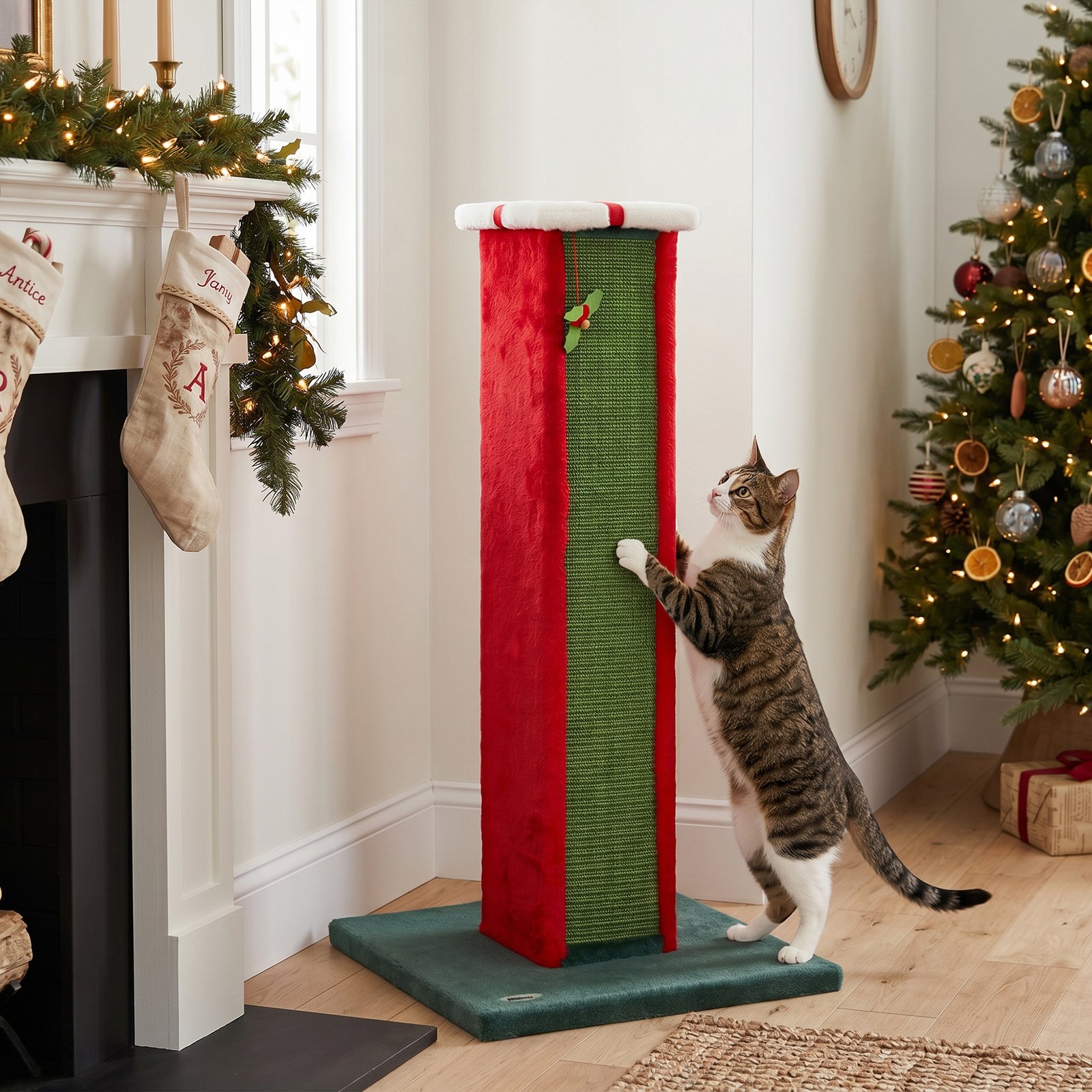 Cat Scratching Post for Indoor Cats, 81cm Tall Cat Scratcher with Sisal Rope, Hanging Bell Toy, Stable Base, Green & Red