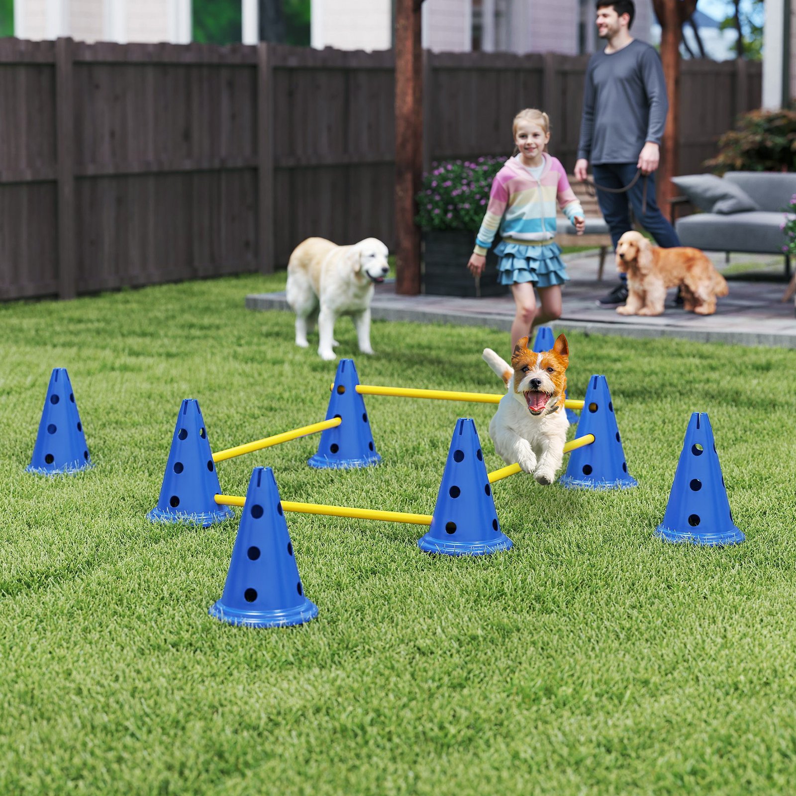 Dog Agility Equipment Set of Eight Cones, Eight Poles w/ Carry Bag, Four-Piece Adjustable Height Jumping Obstacles Blue - Image 9