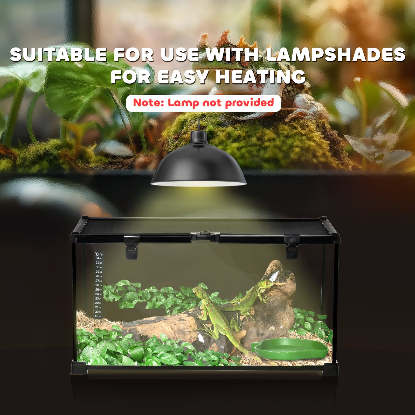 Glass Reptile Terrarium Insect Breeding Tank Vivarium Habitats with Thermometer for Lizards, Horned Frogs, Snakes, Spiders - Medium 50 x 30 x 25cm - Image 8