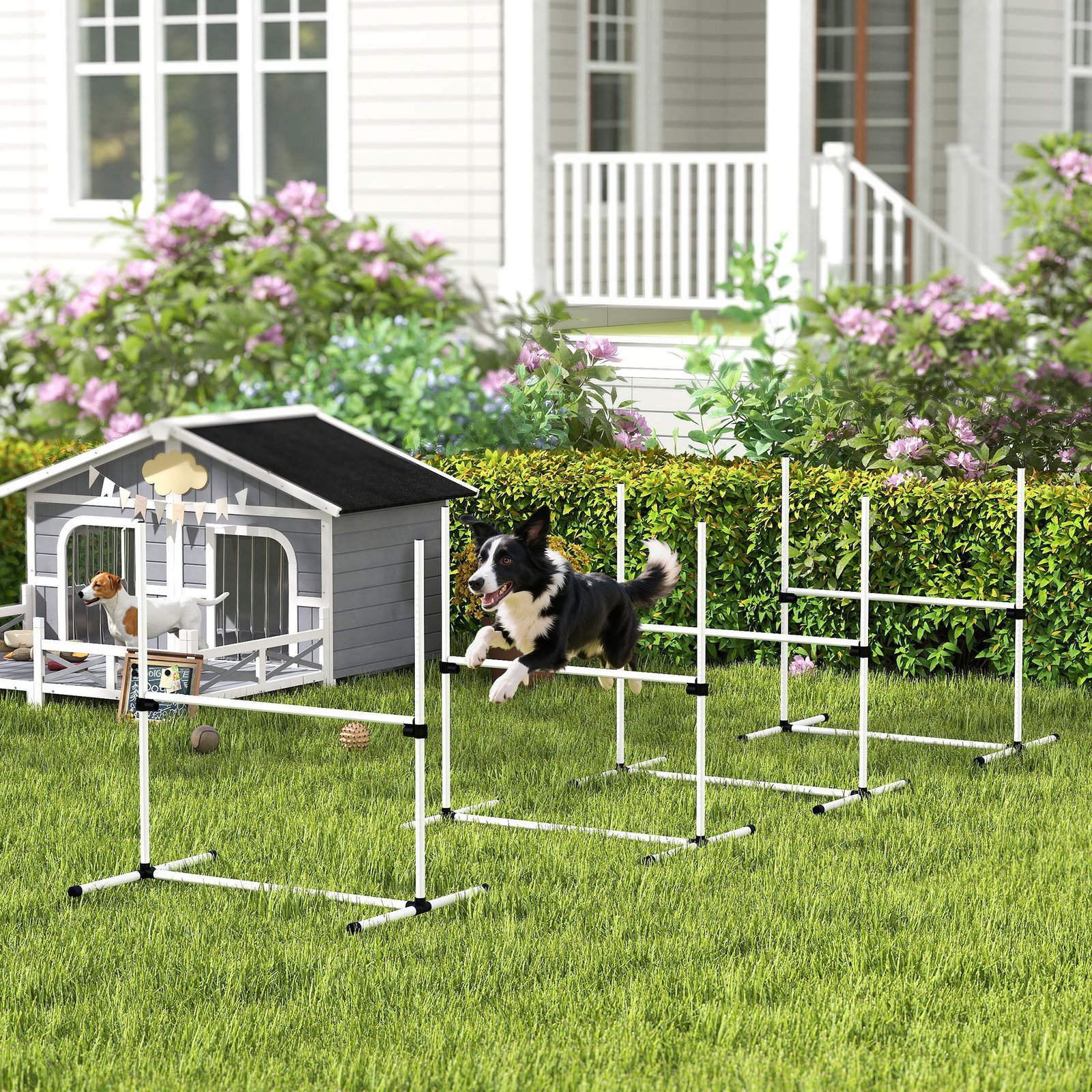 4 Pieces Dog Agility Training Equipment, Adjustable Height Jumps Hurdle with Carrying Bag for Outdoor, White