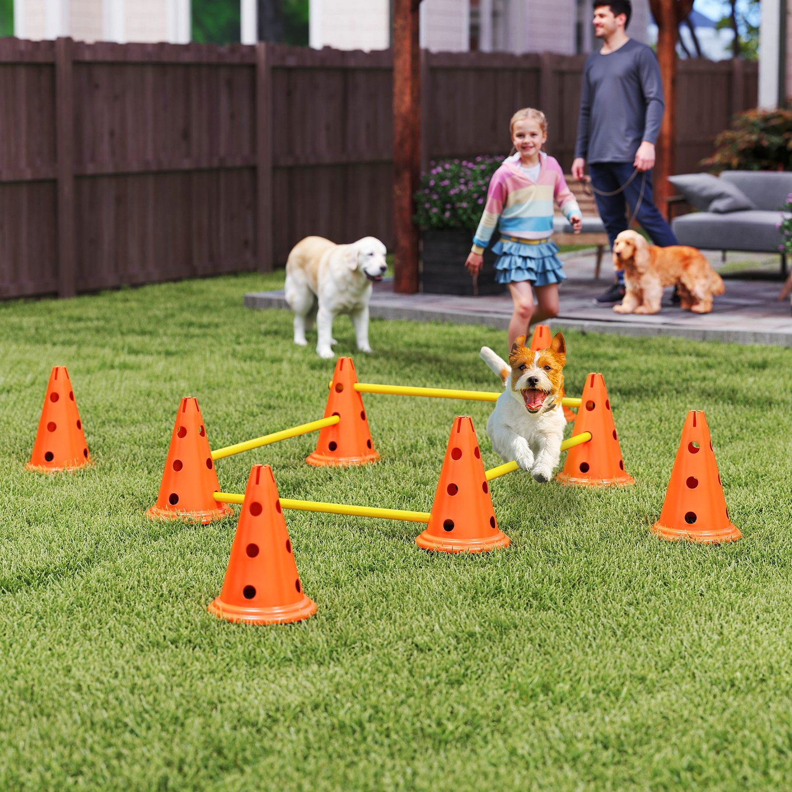 Dog Agility Equipment Set of Eight Cones, Eight Poles w/ Carry Bag, Four-Piece Adjustable Height Jumping Obstacles - Image 9