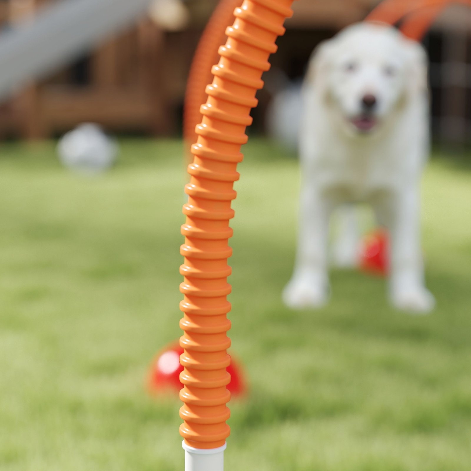 4-Piece Dog Agility Training Equipment with 4 Adjustable Width Doors, Bag, for Garden, Orange - Image 8