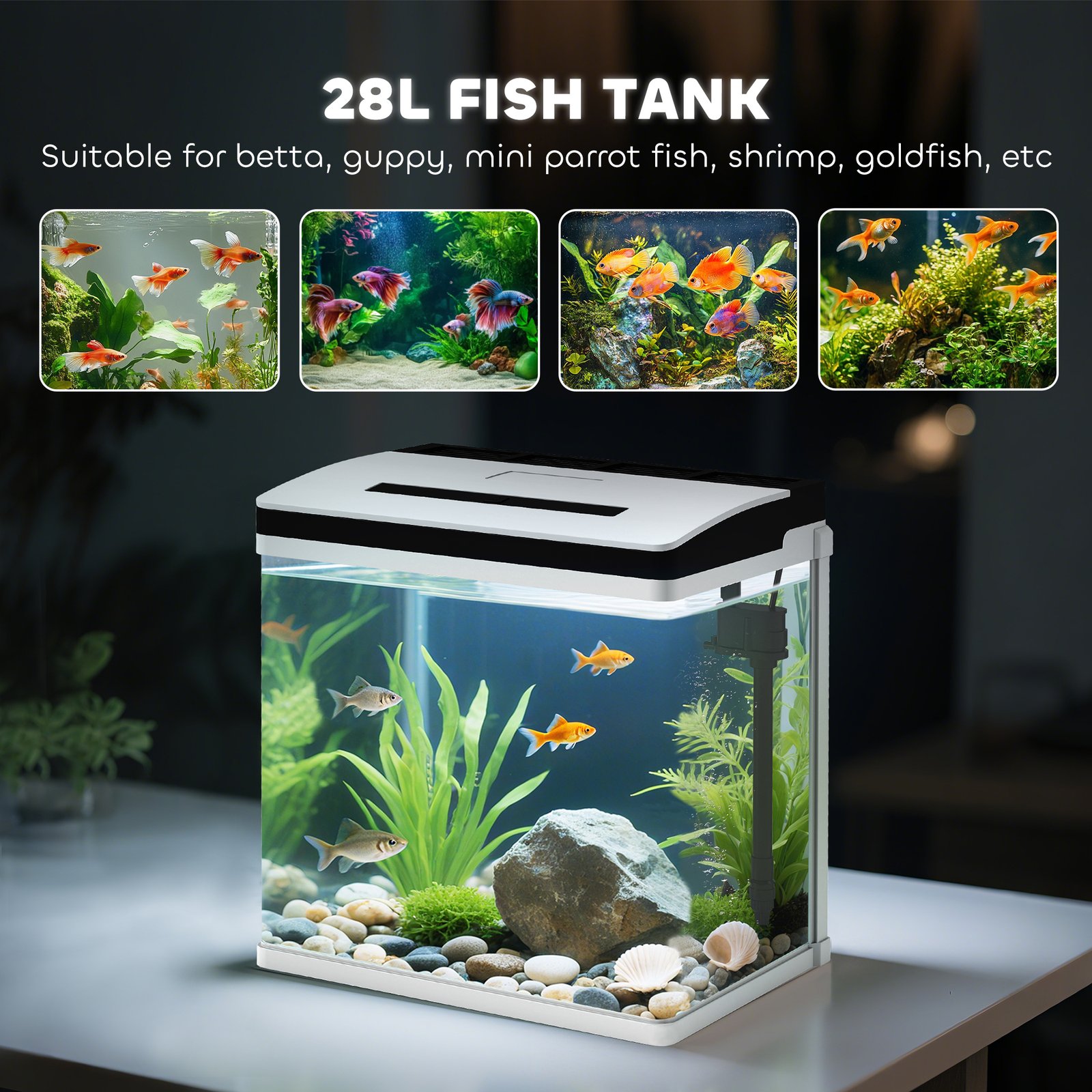28L Glass Aquarium Fish Tank with Filter, LED Lighting, for Betta, Guppy, Mini Parrot Fish, Shrimp, 38 x 26 x 39.5cm