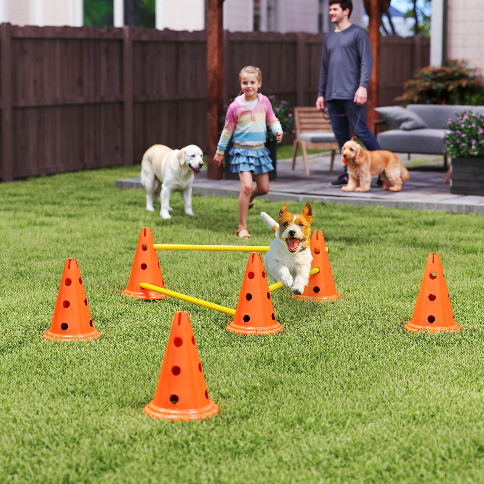 Dog Agility Equipment Set of Six Cones, Six Poles with Carry Bag, Three-Piece Adjustable Height Jumping Obstacles Orange - Image 9