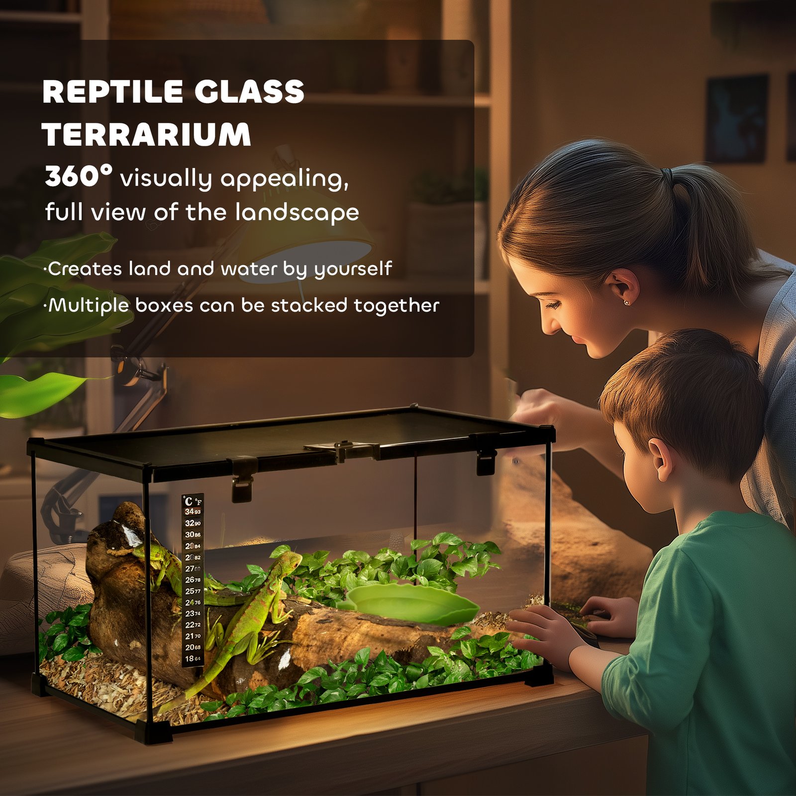 Glass Reptile Terrarium Insect Breeding Tank Vivarium Habitats with Thermometer for Lizards, Horned Frogs, Snakes, Spiders - Medium 50 x 30 x 25cm - Image 4