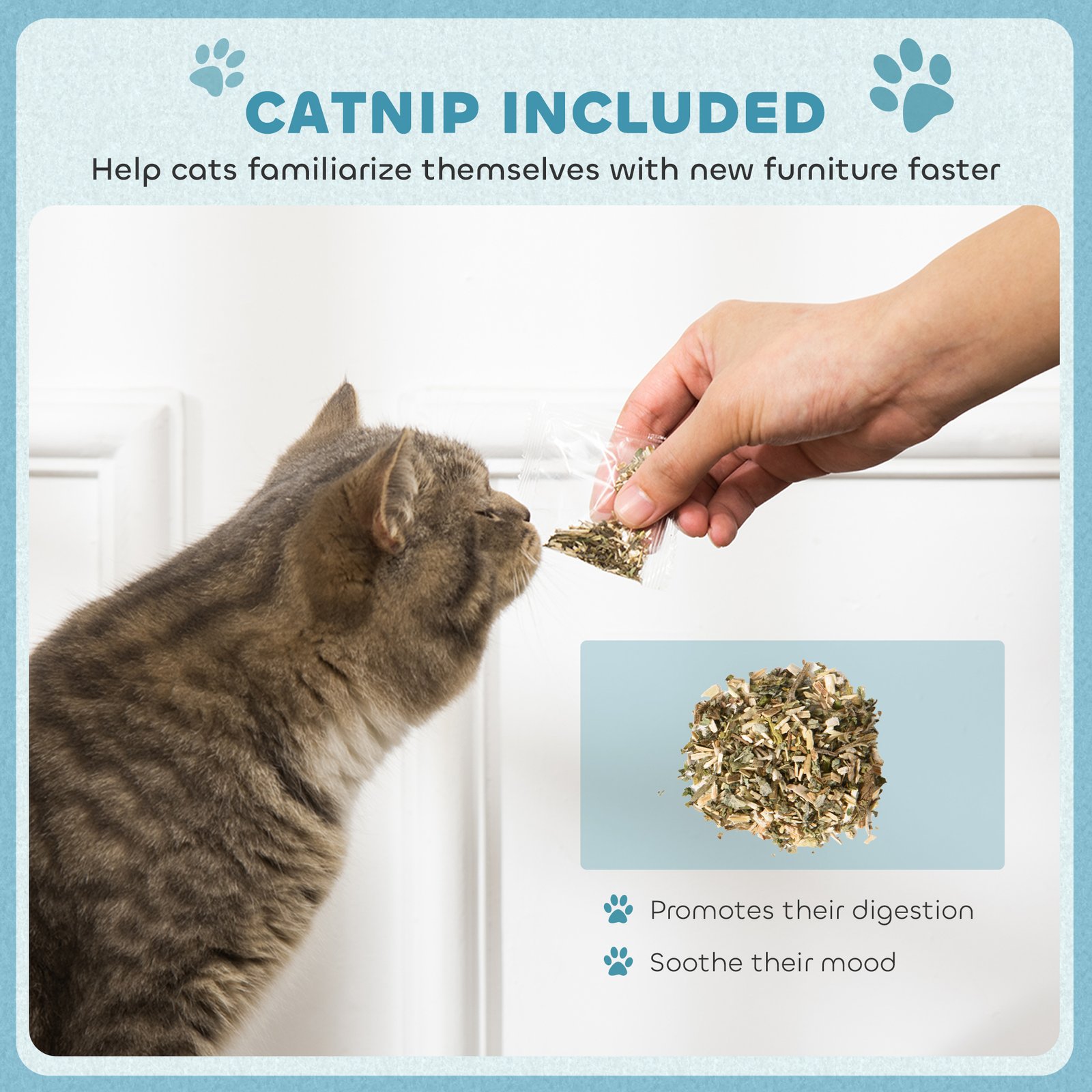 2-in-1 Cat Scratcher with Catnip for Indoor Cats, Light Blue