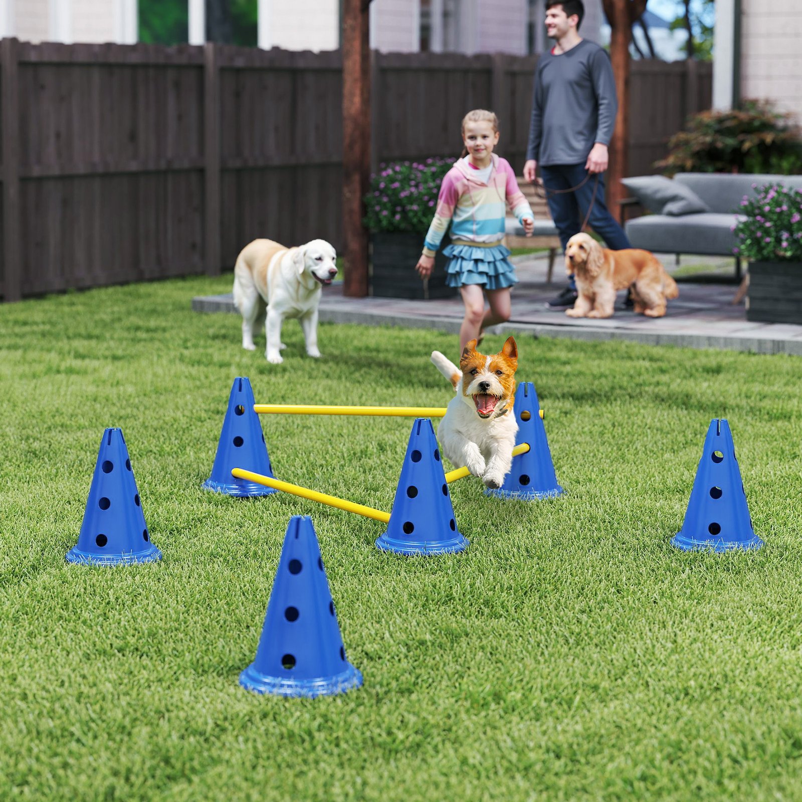 Dog Agility Equipment Set of Six Cones, Six Poles with Carry Bag, Three-Piece Adjustable Height Jumping Obstacles, Blue - Image 9