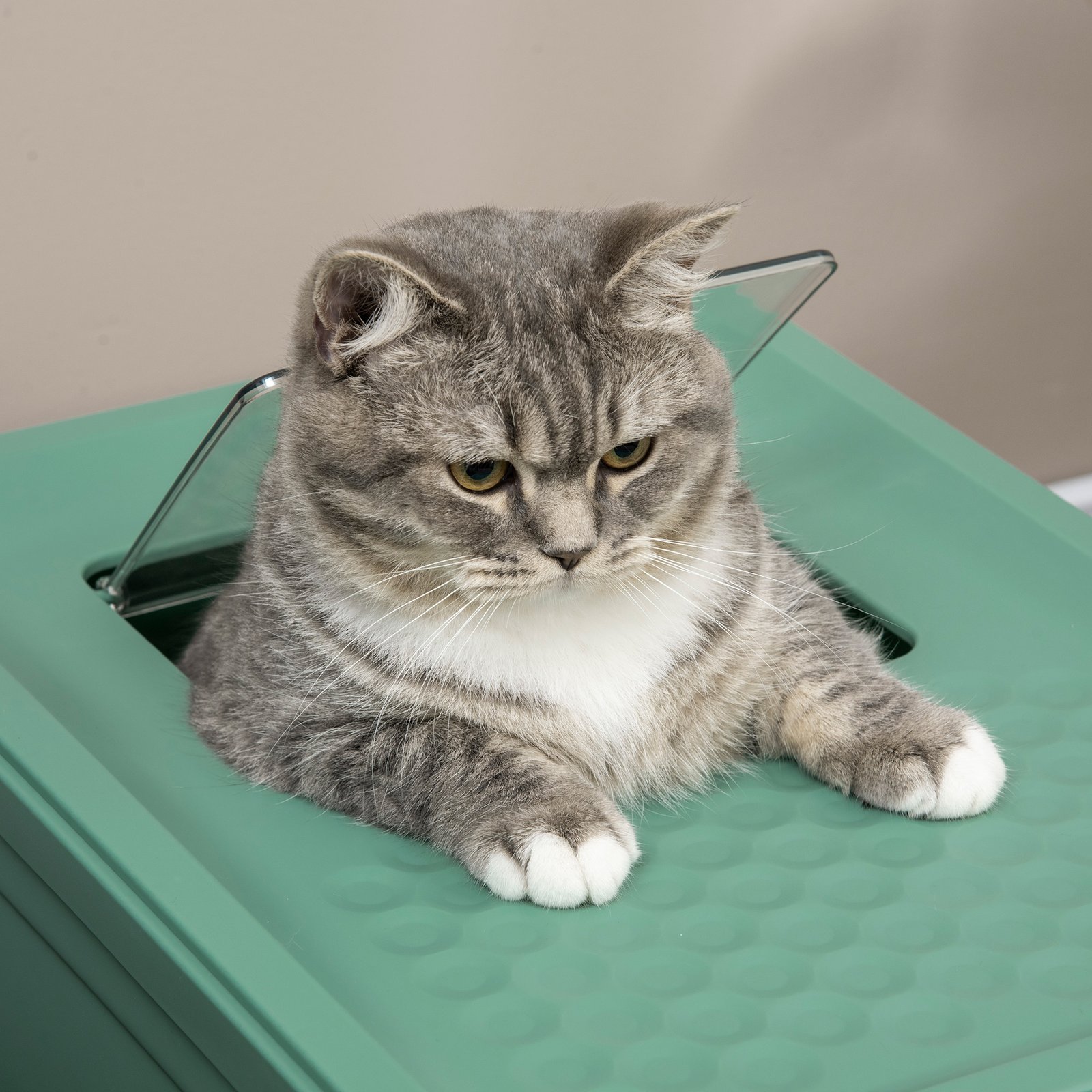 Hooded Cat Litter Box, Portable Pet Toilet, with Scoop, Front Entry - Green