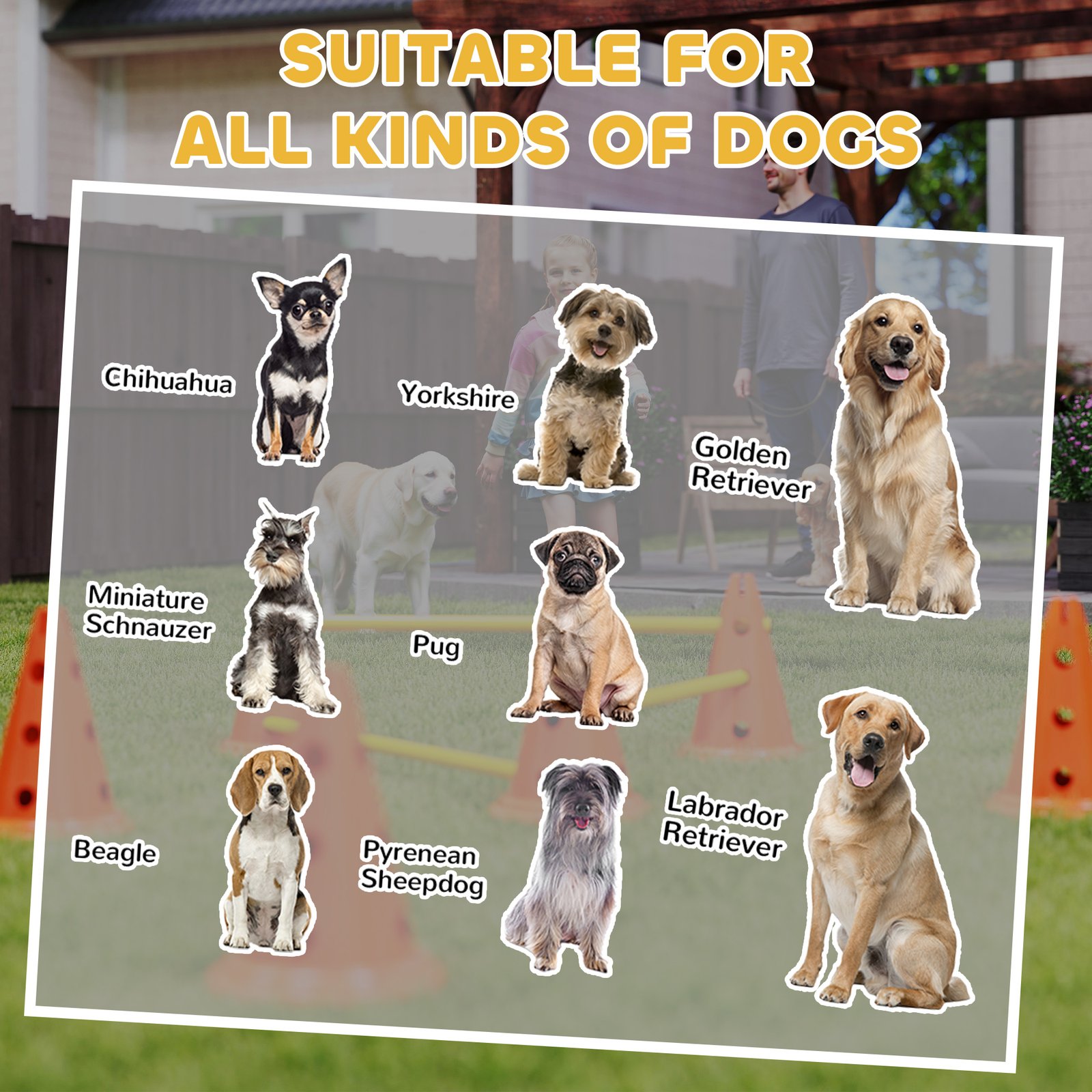 Dog Agility Equipment Set of Six Cones, Six Poles with Carry Bag, Three-Piece Adjustable Height Jumping Obstacles Orange - Image 8