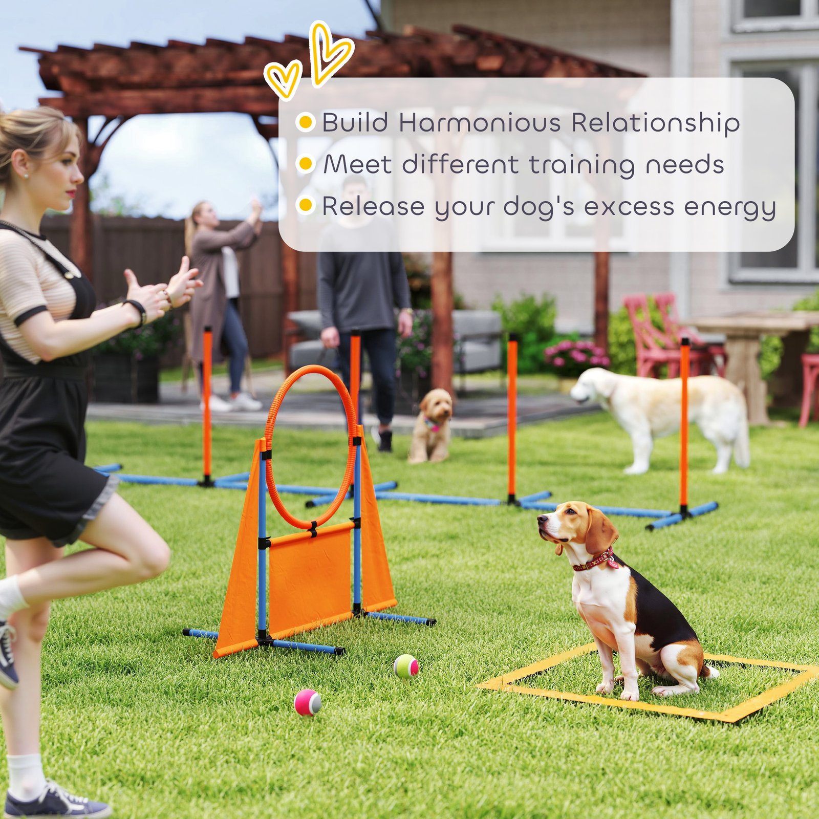 6-Piece Dog Agility Equipment Set with Weave Poles, Jump Ring, Hurdle, Pause Box, Bag, Orange