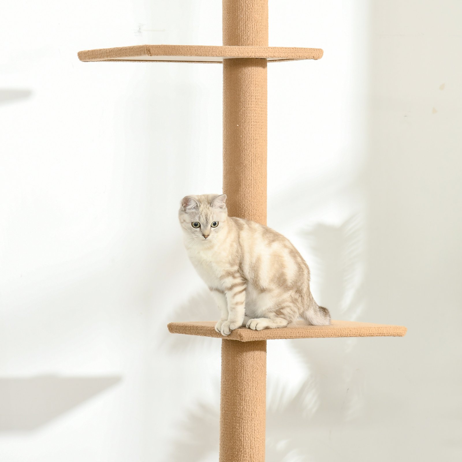 260cm Floor To Ceiling Cat Tree for Indoor Cats w/ Three Platforms Activity Centre - Brown