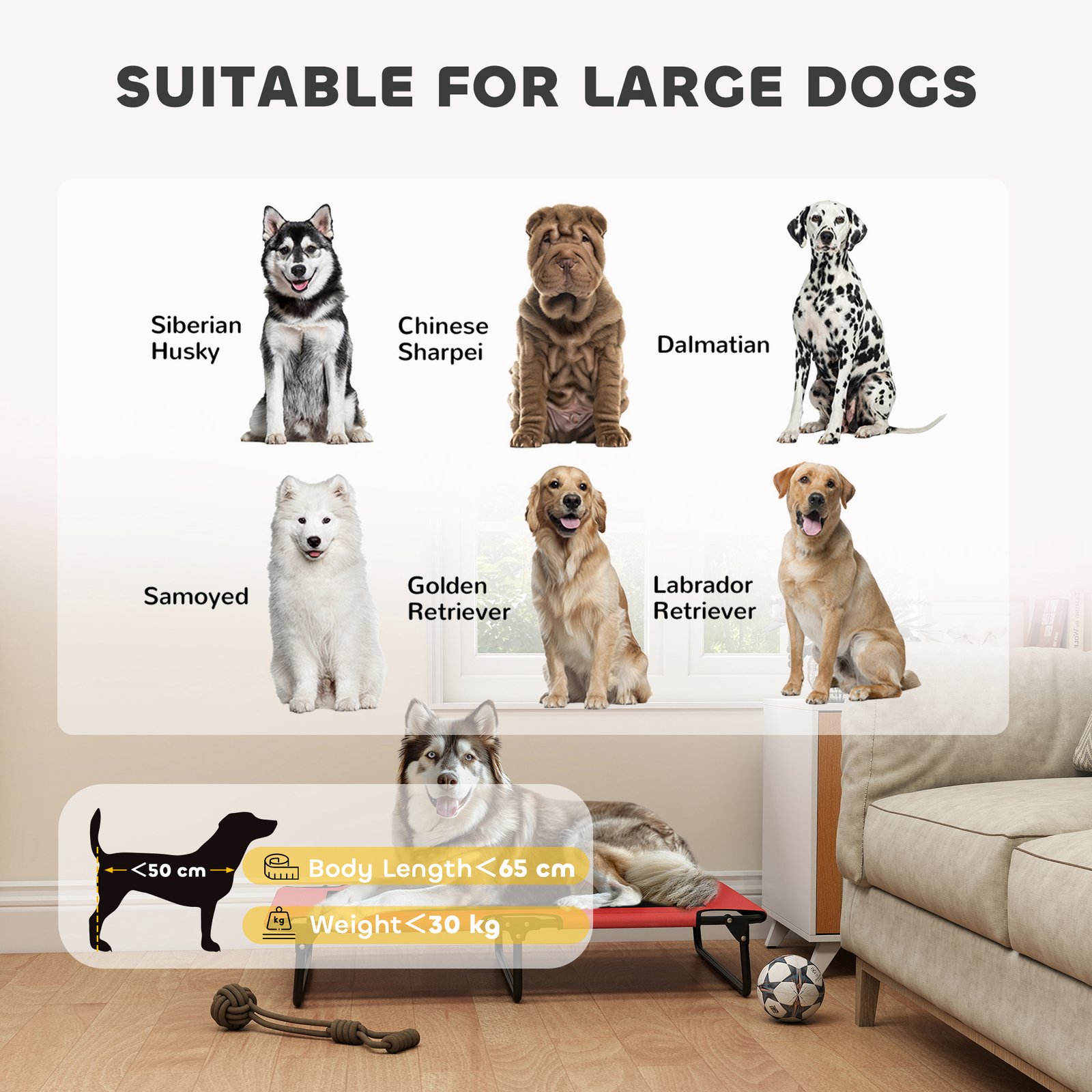 Portable Raised Dog Bed, Elevated Pet Cot with Breathable Mesh for Indoor Outdoor, for Large Dogs, Red